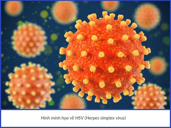 Virus_HSV