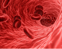 Hội nghị khoa học Thalassemia toàn quốc lần III