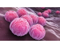 Chlamydia Vaccine - Bệnh Truyền Nhiễm Qua Đường Tình Dục 