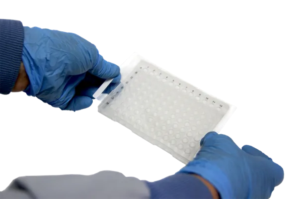 Màng Film dán đĩa PCR | UltraFlux® Standard PCR Film