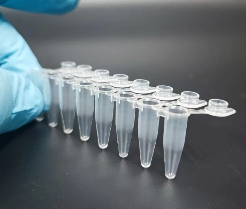 Ống PCR 0.2 ml dải 8, màu trong suốt, nắp phẳng liền thân - ảnh 3