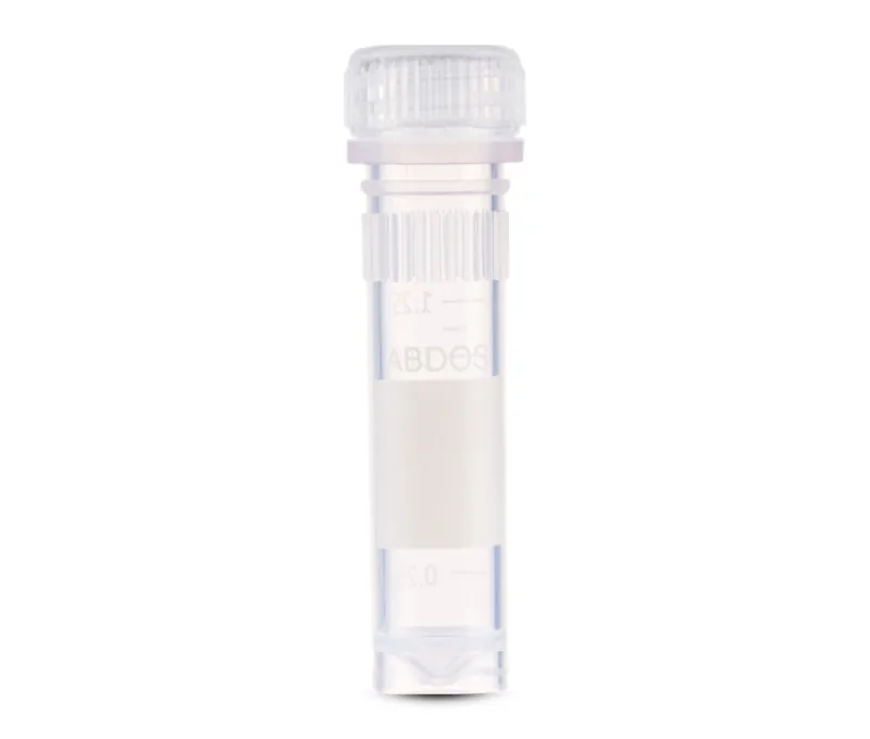 Ống trữ mẫu Screw Cap & Tube tự đứng, nắp vặn, tiệt trùng (0.5/ 1,5/ 2 ml)