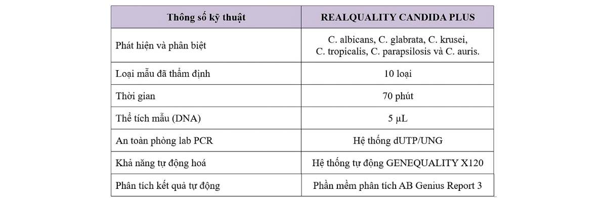 đặc điểm nổi bật của bộ kit