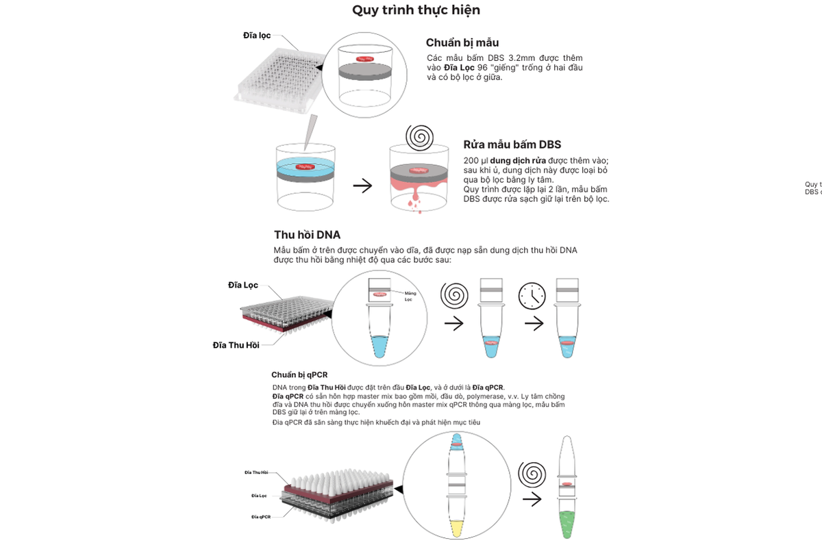 Quy trình thực hiện SPOT-it™ Screening Assay của hãng ImmunoIVD (Thụy Điển)