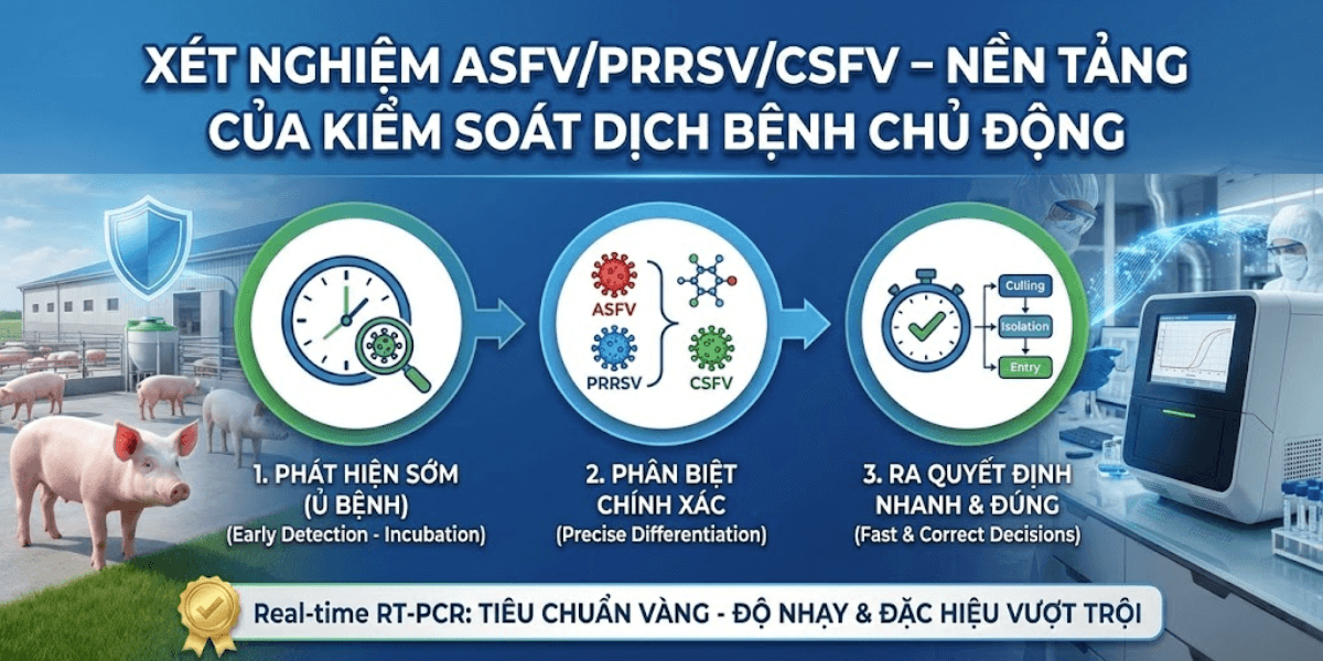 XÉT NGHIỆM ASFV_PRRSV_CSFV_NỀN TẢNG CỦA KIỂM SOÁT DỊCH BỆNH CHỦ ĐỘNG
