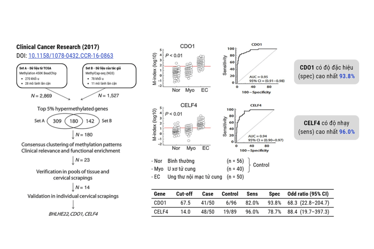 Tóm tắt quy trình và kết quả nghiên cứu của Huang và cộng sự (2017).