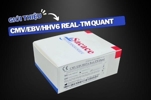 GIỚI THIỆU CMV/EBV/HHV6 Real-TM Quant