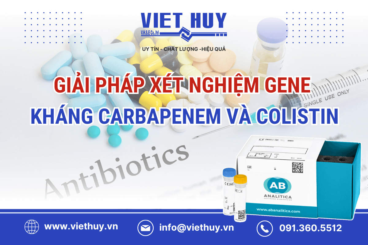 Kháng Carbapenem & Colistin: Vì sao chọn REALQUALITY Carba-Screen?