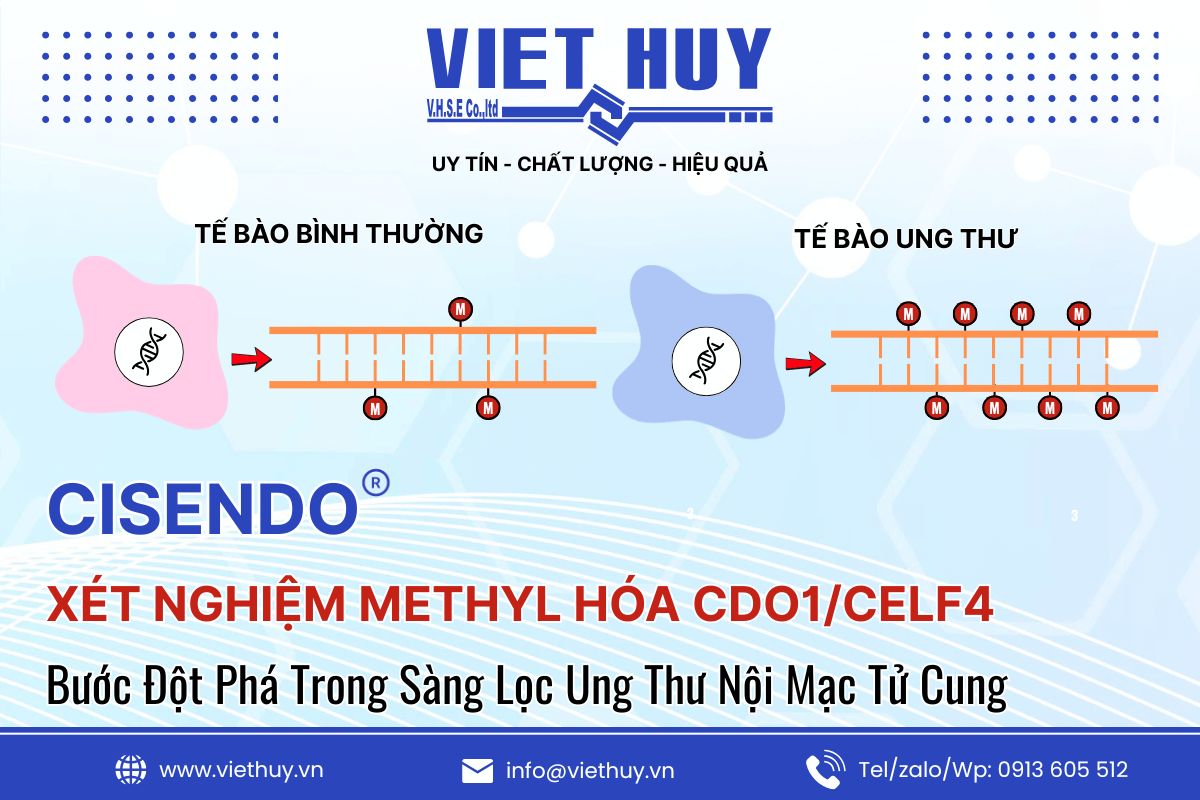 CISENDO® - GIẢI PHÁP DNA METHYLATION TRONG SÀNG LỌC UNG THƯ NỘI MẠC TỬ CUNG