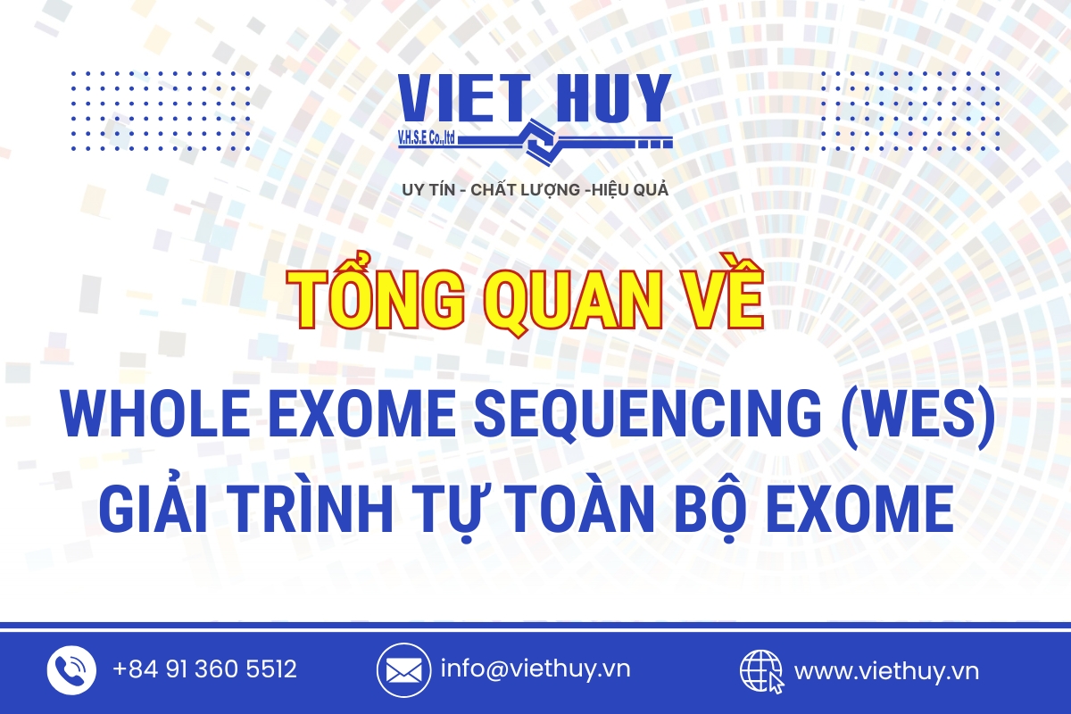 Khám Phá Whole Exome Sequencing (WES) - 2024: Công Nghệ Đột Phá Trong Chẩn Đoán Bệnh Hiếm và Y Học Cá Thể Hóa