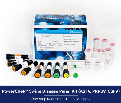 Bộ xét nghiệm định tính phát hiện và phân biệt đồng thời 3 tác nhân ASFV/PRRSV/CSFV | PowerChek